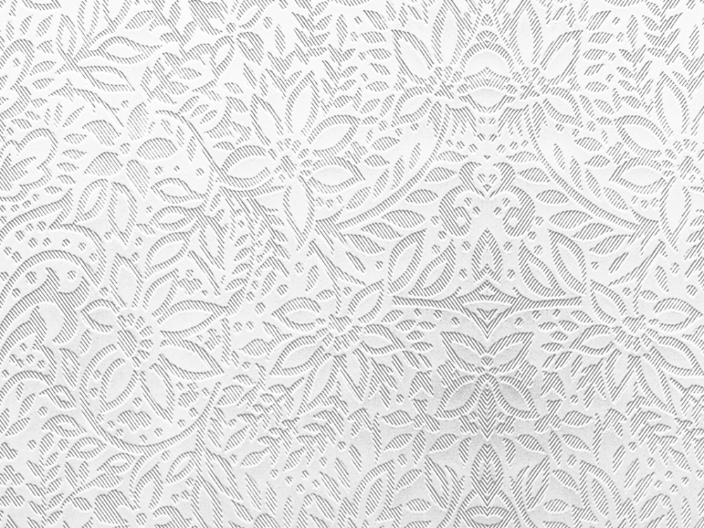 Pilkington Chantilly textured glass close up