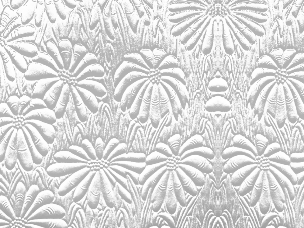Pilkington Mayflower textured glass close up